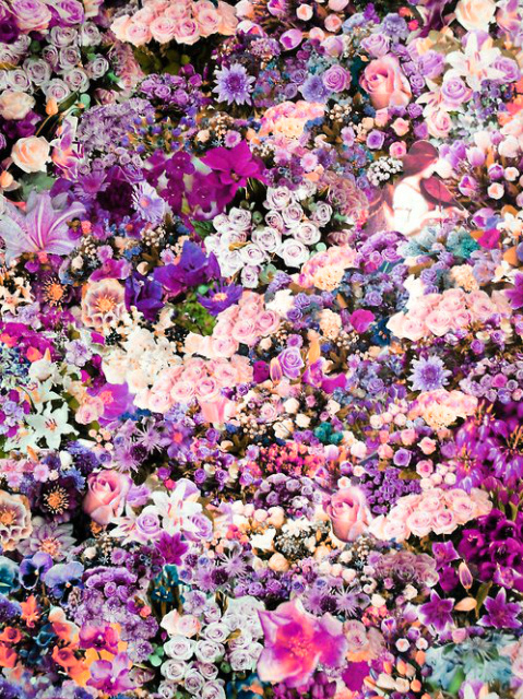 tumblr_mbvt1wXCTt1qcmngio1_500