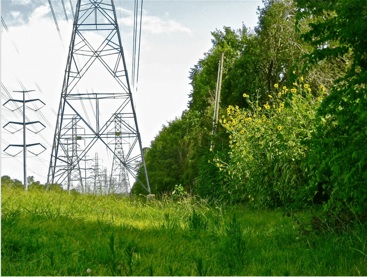 Screen Shot 2015-12-08 at 9.09.27 PM