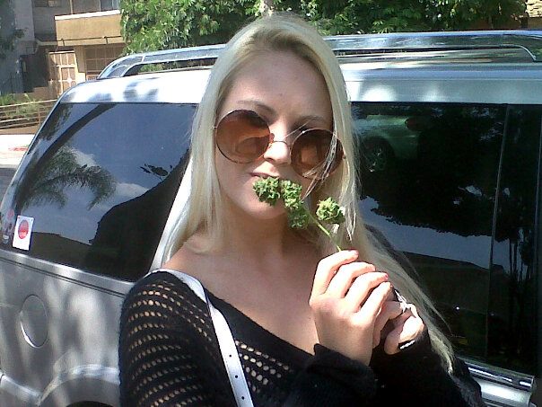 550661_10151755931410632_1958768992_n